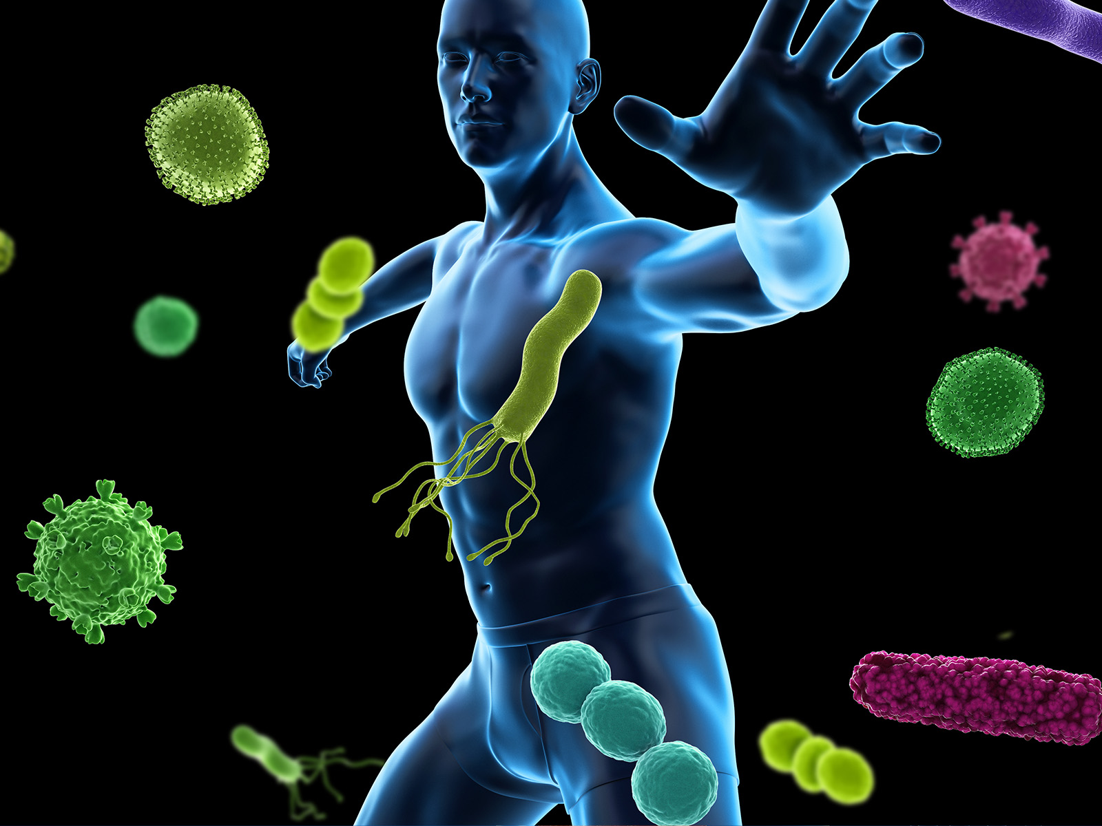 Immunity and Anti-inflammation