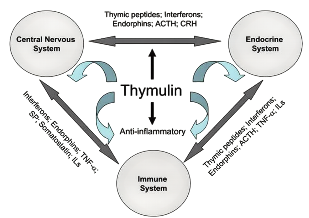 Tesamoreli Peptide: Mechanisms And Emerging Applications in Metabolic And Longevity Medicine